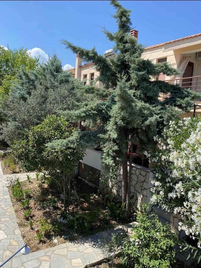 Papadopoulos Houses ニキティ エクステリア 写真